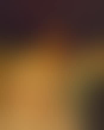 Introspection (preview)