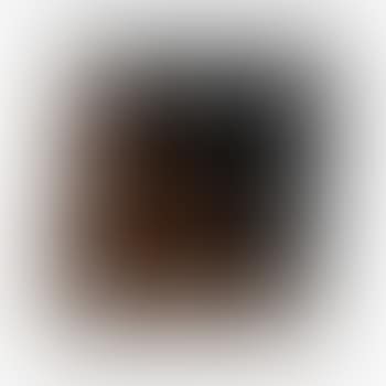 Black/Brown (A. 79; G. 338) (preview)