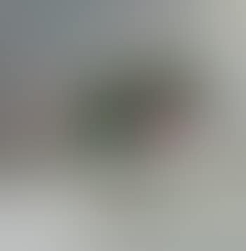 Camellia II (preview)