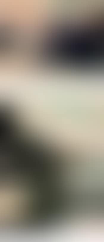 Sans Titre [Two Works] (preview)