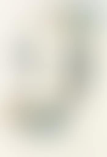 Golden Gate Bridge (preview)