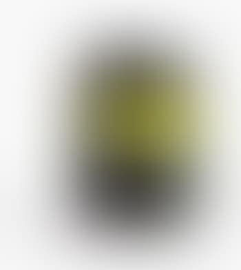 A covered vase (preview)