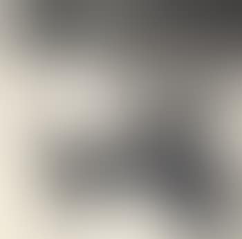 Landscape (preview)