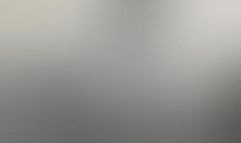 Wish for Longevity (Diptych) (preview)