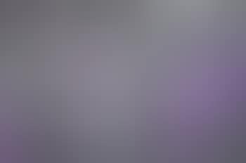 Collective Picture (preview)