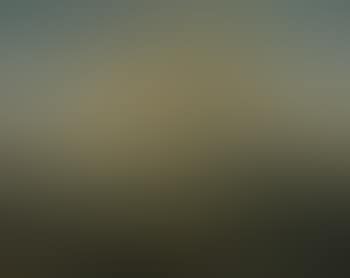 Le coup de soleil, d’après Jacob van Ruysdael (preview)