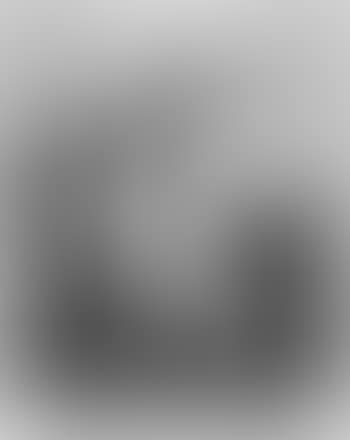 Selbstbildnis (preview)