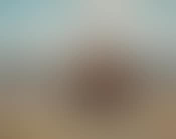 Herd of Wild Horses Charging (preview)