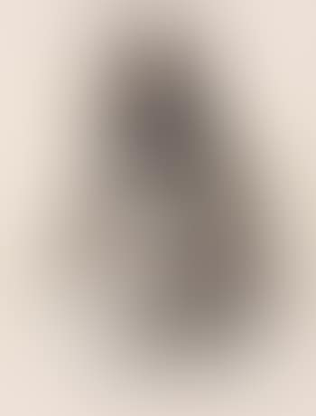 Portret van Jules Barbey d'Aurevilly (preview)