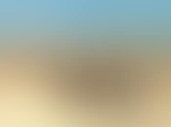 De Panne (preview)
