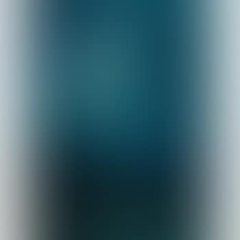 The northern lights (preview)
