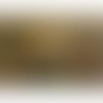 The Crucifixion; The Immaculate Conception; The Pietà; Saint Francis; and The Mass of Saint Gregory (preview)