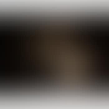 Phaos B (preview)