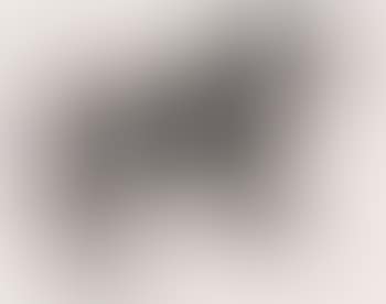 Horse (Universal Archive) (preview)