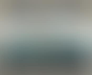 S.S. Arnheim, LNER (preview)