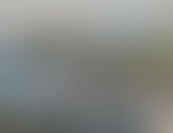 Waiheke Island NZ (preview)