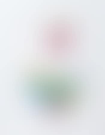 Composizione (preview)