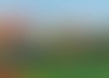 La valle (preview)