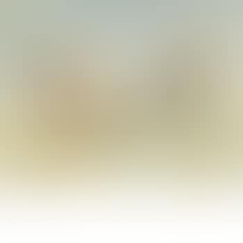New York Skyline with Central Park (preview)