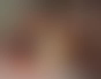 The picture book (preview)