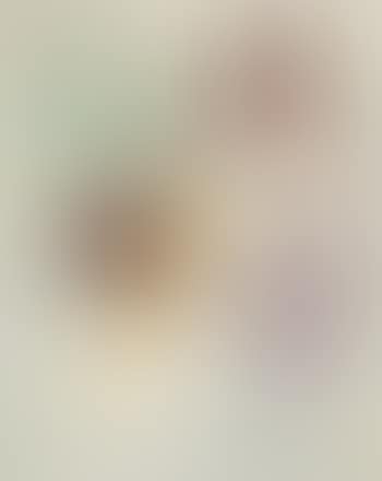 Pointes noires (preview)