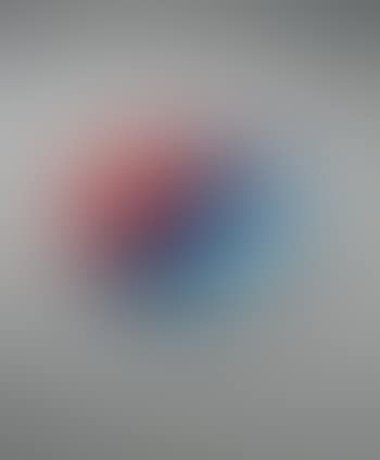 Plate (preview)