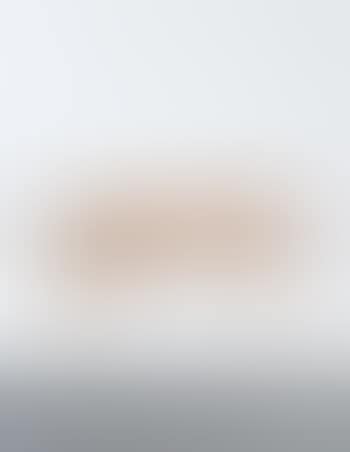 Wishbone desk (preview)