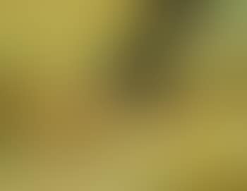Sans titre (preview)