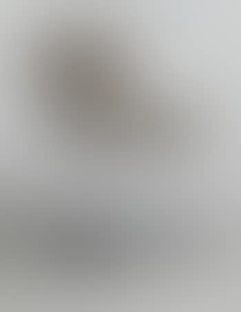 Side Chair (preview)