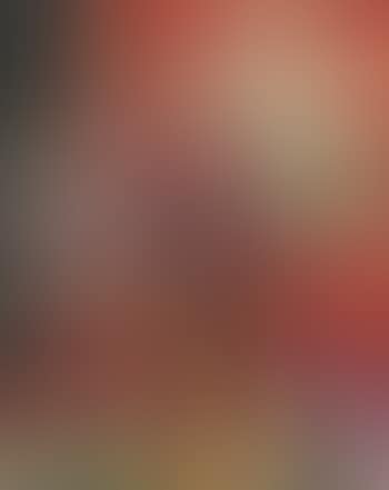 Fleurs et fruits (preview)