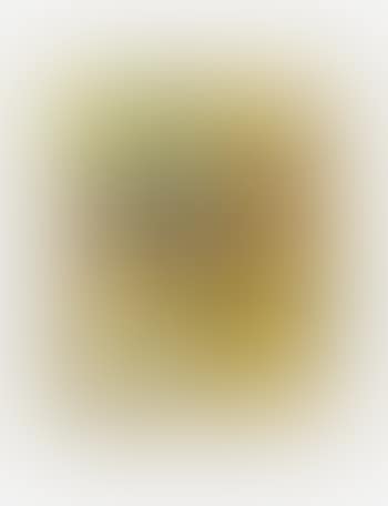 Blonde (preview)