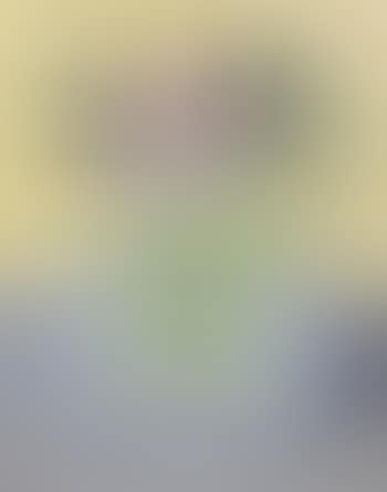 Still Life with Flowers (preview)