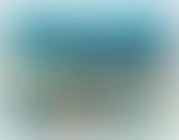 Composition (preview)