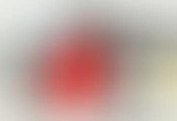 Femme, Oiseau (preview)