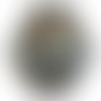 Decorated vase (preview)