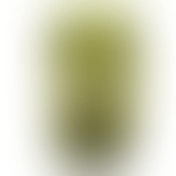 Cabinet Landscape vase (preview)