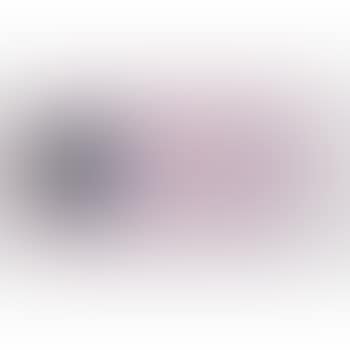 The book disappears for the fast student (preview)