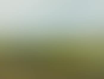 Landscape with Wall and Orchard (preview)