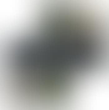 Spin (preview)