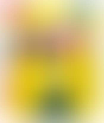 Untitled (Kimpsons) (Package Painting Series) (preview)