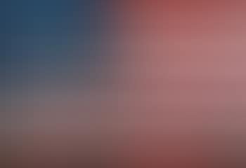 Flag, after Jasper Johns (From pictures of pigment) (preview)