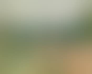 Paysage De Cassis (preview)