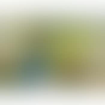Méditation (preview)