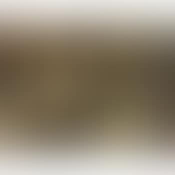 The Singel, Amsterdam (preview)