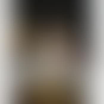 A portrait of Eva and Frances Johnston (preview)