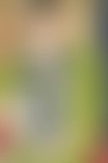 Seated Lady in Green Blouse (preview)