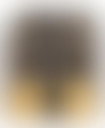 Zonder titel (preview)