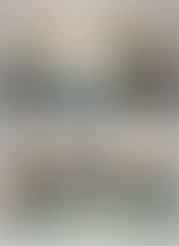 Shirasuka. Narumi (preview)