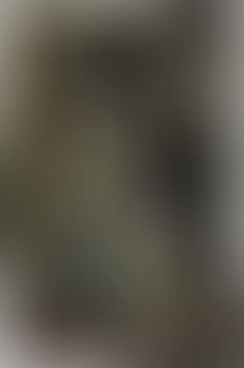 Un tableau arraché (preview)