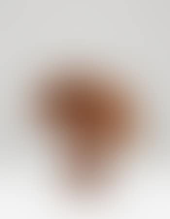 MEME CXXXIII (preview)